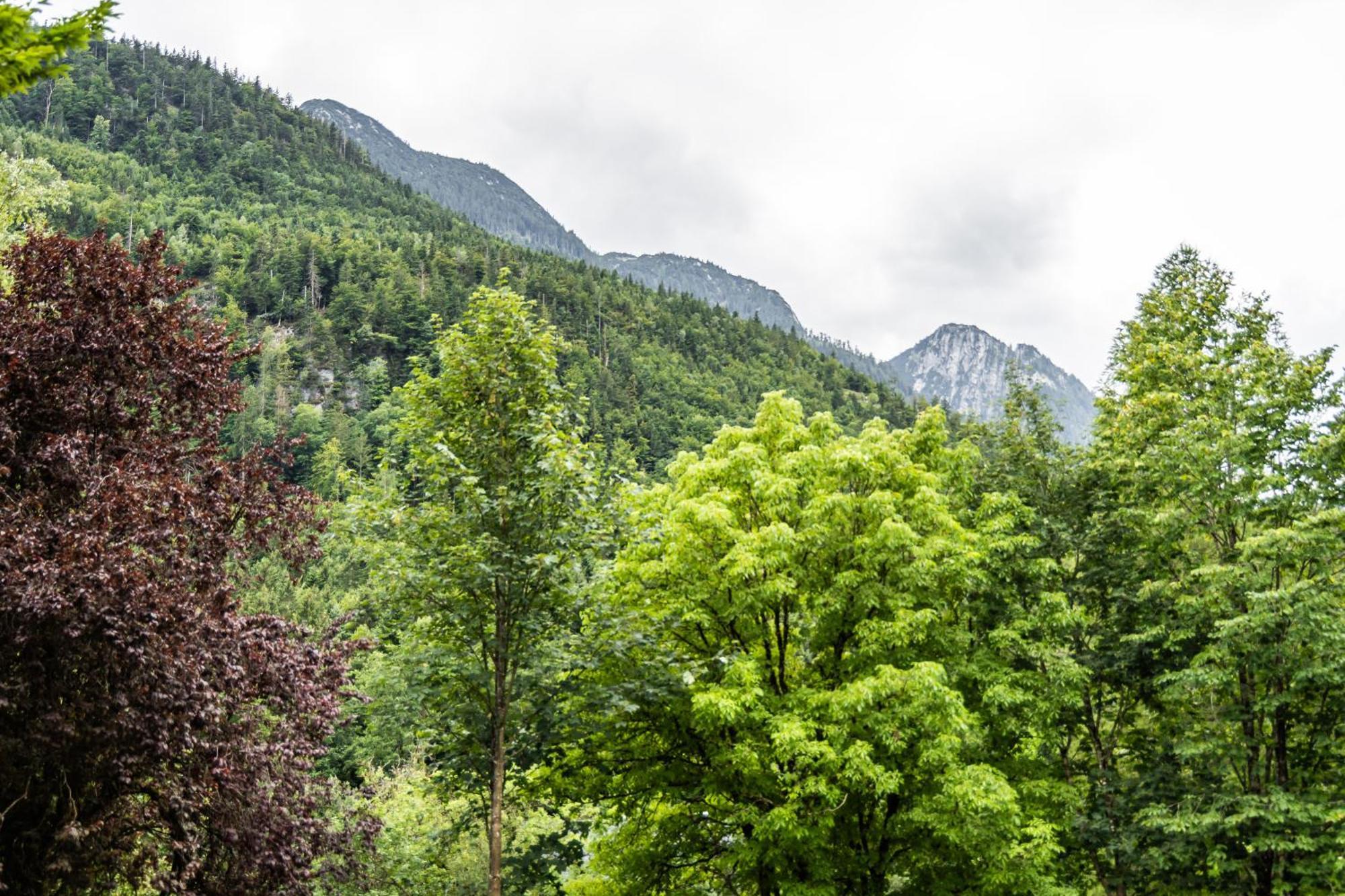 Alpin-Chalet In Alleinlage In Bad Ischl - Wald, Natur, Kamin & Sauna エクステリア 写真